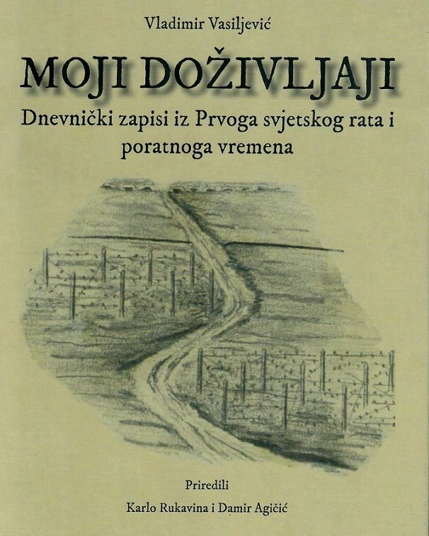 dnevnik vladimira vasiljevica